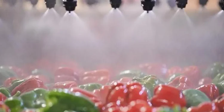 RM Drip to set up 12,000 tonne manufacturing plant in Maharashtra