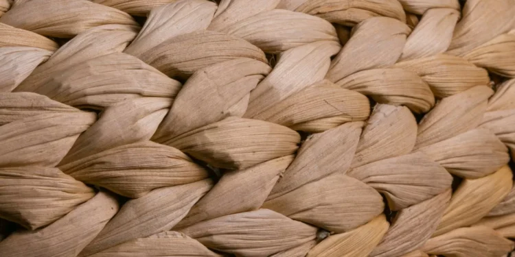 After the University? Braiding a Path Forward