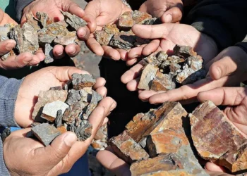 India to build end-to-end critical mineral value chains: Economic Survey