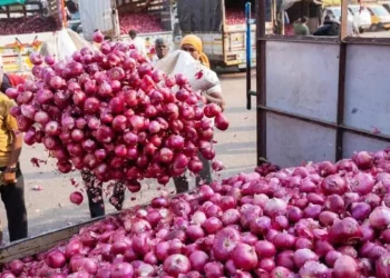 Slack demand, competition weigh on Indian onion exports
