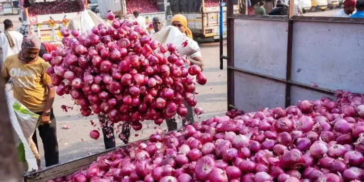 Slack demand, competition weigh on Indian onion exports