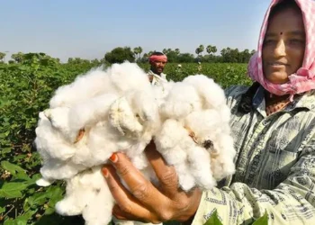 India-US trade deal will boost demand, says Cotton trade body