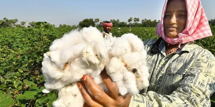 India-US trade deal will boost demand, says Cotton trade body