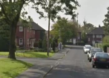 Armed police called as girl, 10, seriously injured in horror dog attack