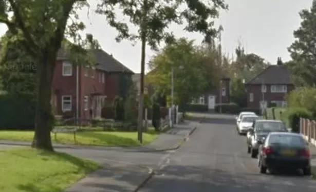 Armed police called as girl, 10, seriously injured in horror dog attack