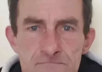 Human remains found in field in hunt for man who went missing five years ago