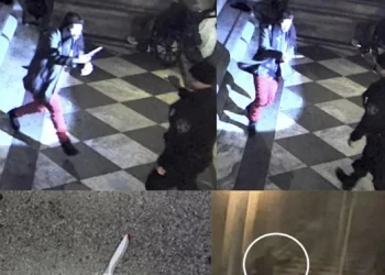 Federal courthouse shooting: San Francisco court security shot a knife-wielding trespasser four times, feds say