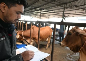 Dairy sector protected in US trade deal, says industry body