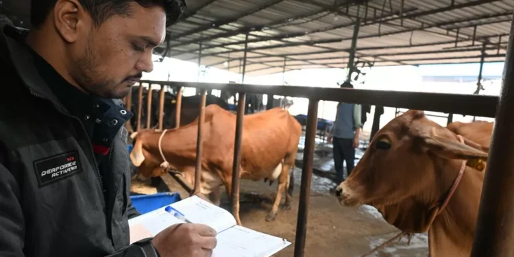 Dairy sector protected in US trade deal, says industry body