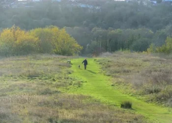 New law to hit dog walkers within weeks and could see people landed with eyewatering fines